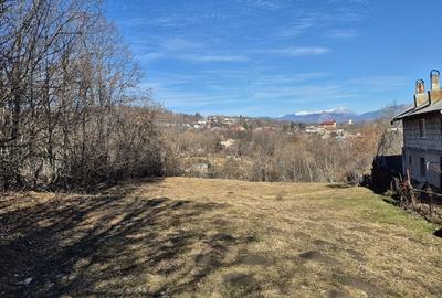 Teren intravilan 3526 mp cu vedere superba catre munte! - 3