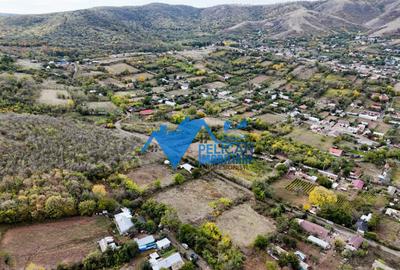 Teren intravilan NICULITEL, zona deosebita, 3044MP - 3