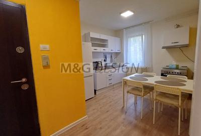 Apartament cu 2 camere semidecomandat, mobilat în Take Ionescu - 2