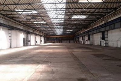 Inchiriere depozit/spatiu industrial/hala Basarabia - Faur - 4