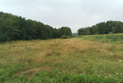 Teren Slatioara Horezu 3400mp - 3