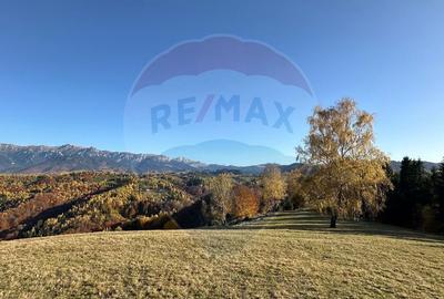 Oportunitate de investitie ! Teren de vis in Pestera - ... - 17