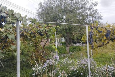 Casă individuală cu 3 camere cu Teren 3886 Mp în Gârleni - 12