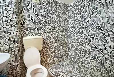 Apartament 4 camere Vasile Lascar - 3