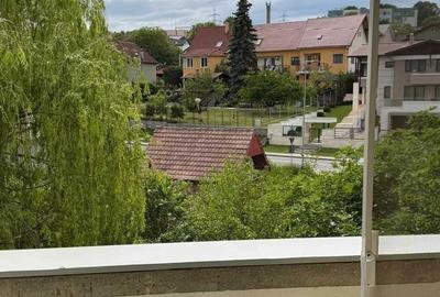 Apartament cu 3 camere decomandat în Exterior Vest - 4