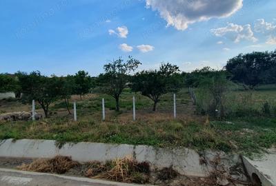 Casă cu 2 camere în Armeni - 5