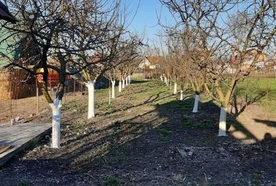 Casă cu 2 camere în Răscruci - 7