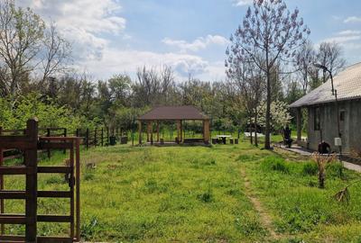 Spațiu comercial, în Central - 2