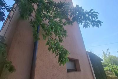 Casă individuală cu 4 camere cu Canalizare în Lunca Cetățuii - 7