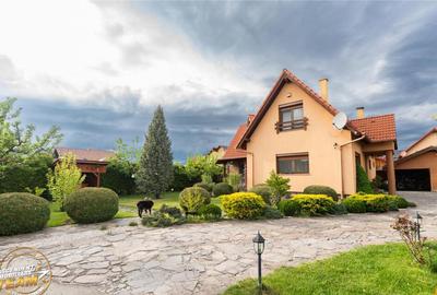 FILM! Casa distincta,P M,5 camere,garaj dublu,sauna,ciubar:c - 11