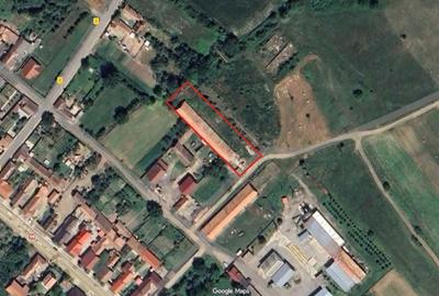 Spațiu comercial, în Ruși - 4