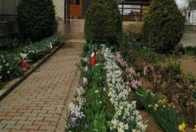 Vila D+P+1 zona km 4-5 - 16