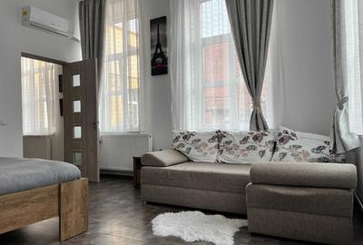 Apartament 1 camera de inchiriat - Orasul de Jos, la 3 minute de Piata Mare - 2