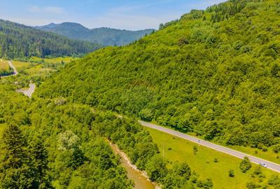 COMISION 0% Teren 3750mp / Sacele / DN1A / Poten?ial tu... - 6