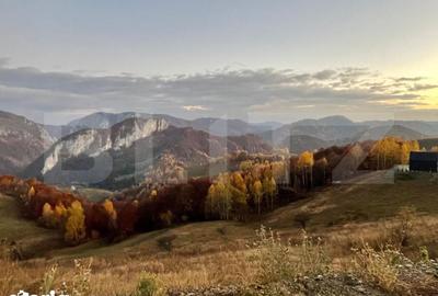 Teren de 5200 mp, în Ponor - 3