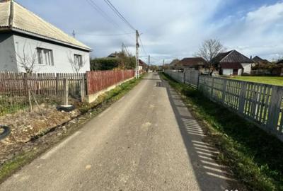 Teren de 20000 mp, în Bozânta Mare - 2