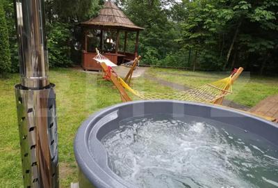 Casă cu 5 camere în Central - 10