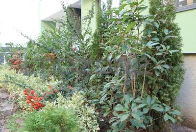 3 CAMERE LA PARTER CU CURTE PROPRIE DE 57MP,  2 BAI, POZITIE PE SUD, COMISION 0% - 38