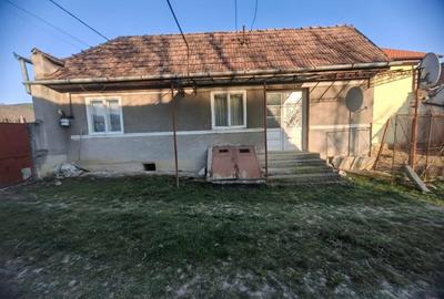 Casă în Vințu de Jos - 3