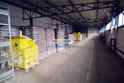 Spațiu industrial, 380 mp în Centura Sud