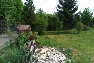 Teren de 1161 mp, în Făget - 2