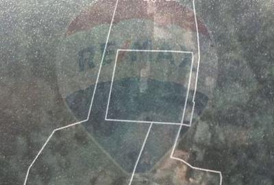 Casă individuală cu 20 camere cu Teren 10330 Mp în Central - 6