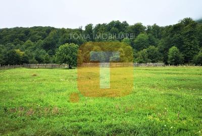 Teren, 4700 mp, intravilan, Leghin, comuna  Pipirig, județul Neamț - 2