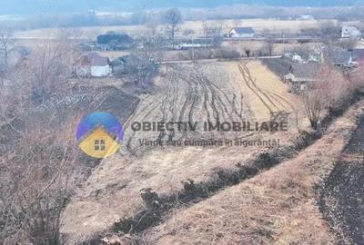 Teren de 10515 mp, în Bodești - 10