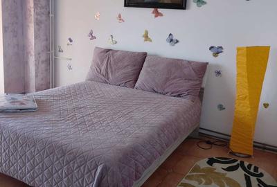 Garsonieră decomandată în Nicolina - 3