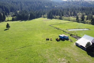 De vânzare teren de 4 ha în Comandău! - 21