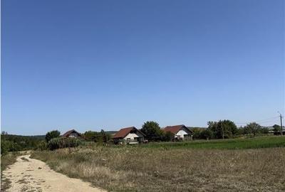 Reco, Teren in Ineu, Bihor