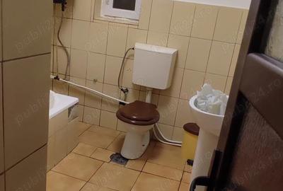De vinzare casa comuna Mihaie?ti - 5