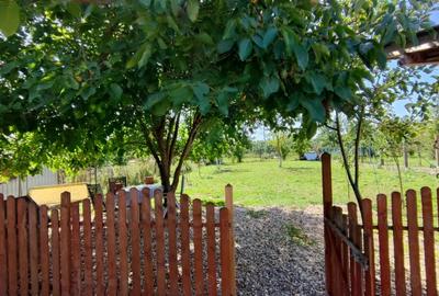 Casa de vanzare Satu Mare - 7