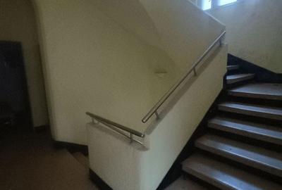 Spațiu comercial, de 2,000 mp, în Cișmigiu - 4