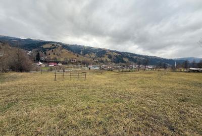 Teren de 4872 mp, în Lunca - 3