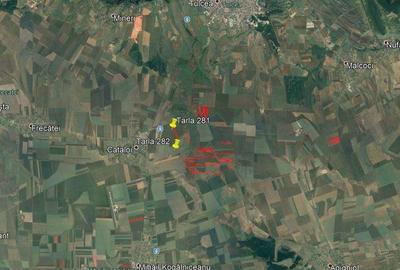 Teren de 156600 mp, în Central