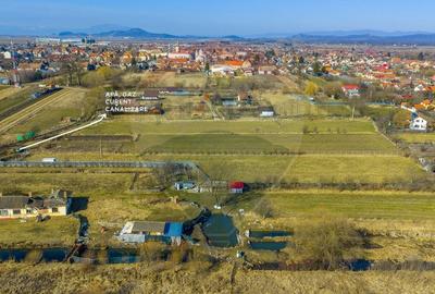 Teren agricol intravilan de 5000 mp, în Prejmer - 2