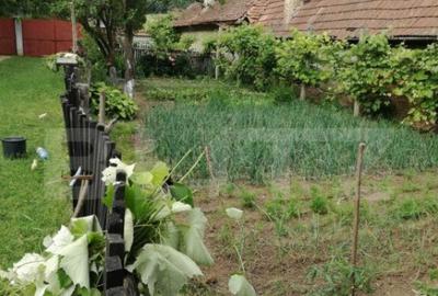 Casa off-grid 5 camere Sangatin Casa off-grid 5 camere Sangatin - 7