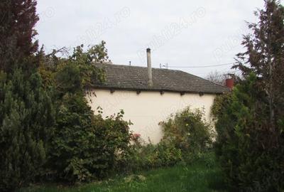 Casă cu 6 camere cu Teren 850 Mp în Ultracentral - 3