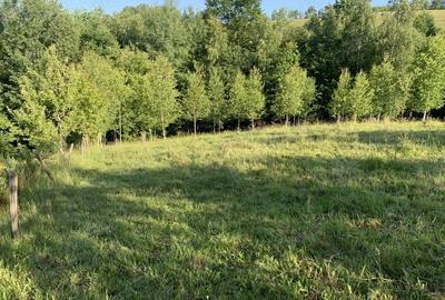 Teren de 4069 mp, în Poiana Mărului - 3