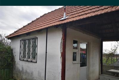 Casă cu 3 camere cu Teren 400 Mp în Ineu - 1