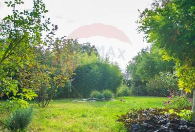 Casă cu 10 camere cu Teren 990 Mp în Sălaj - 6