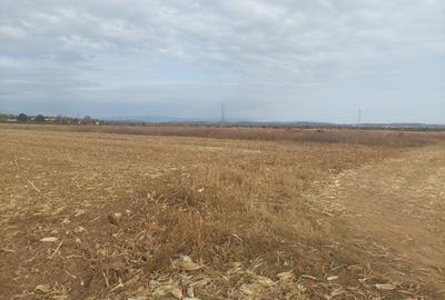 Teren dezvoltare rezidentiala / industriala, Dumbrava / Targoviste - comision 0% - 6