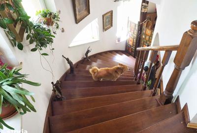 Casă cu 6 camere cu Teren 1800 Mp în Ciolpani - 20
