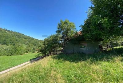 Casă cu 2 camere cu Teren 7927 Mp în Damiș - 5
