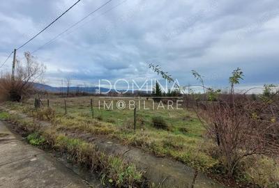 Vanzare teren 5000 mp, intravilan+extravilan, in comuna Crasna - 7