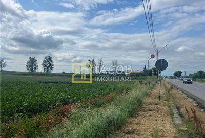 Teren intravilan, 8333 mp, la E85, comuna Secuienii Noi, jud - 5