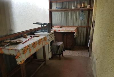 Casa de vanzare (Com. Calmatuiu, sat Nicolae Balcescu) - 4