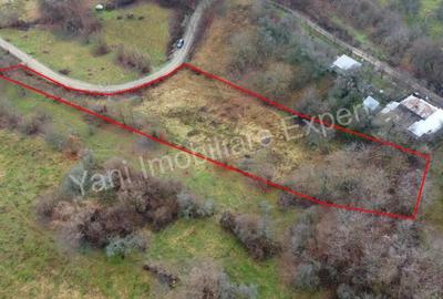 Teren de vanzare in comuna Valea Iasului, jude? Arge?. - 5