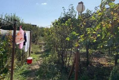 Casă cu 4 camere cu Teren 1436 Mp în Lugoj
